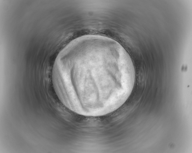 X0000090431346200708101956