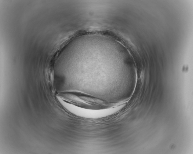 X0000090431348200708101956