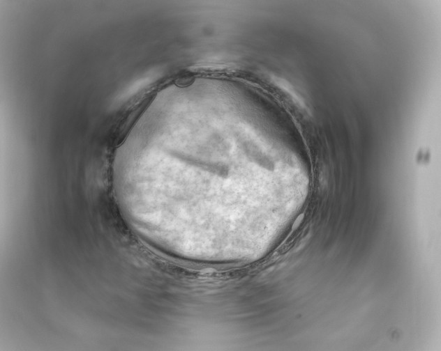 X0000090431350200708101956