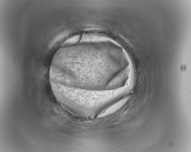 X0000090431351200708101956