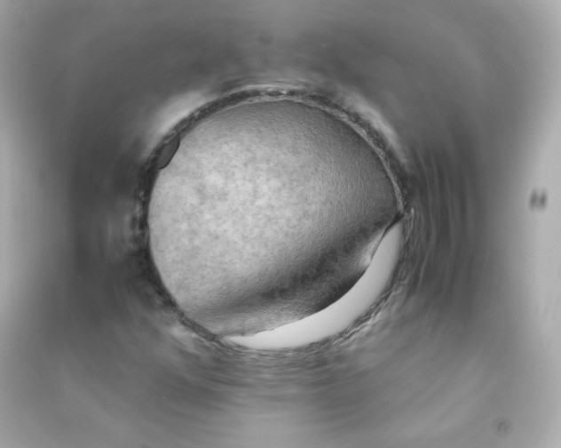 X0000090431352200708101956