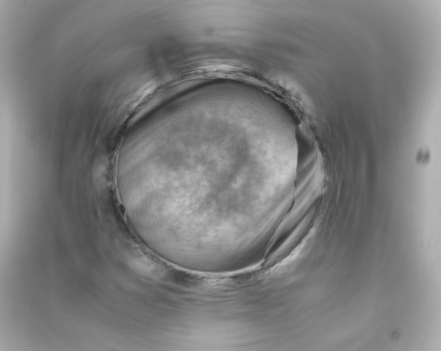 X0000090431353200708101956