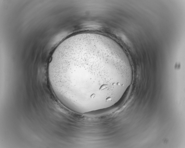 X0000090431354200708101956