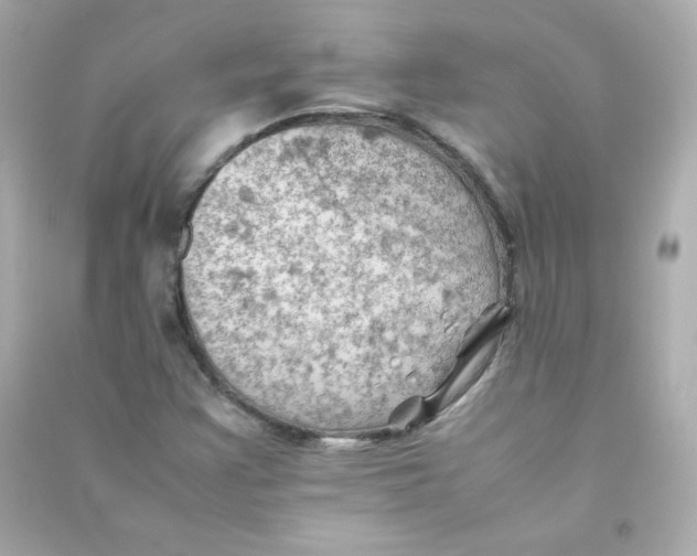 X0000090431355200708101956