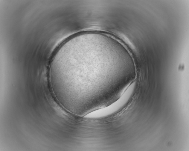 X0000090431356200708101956