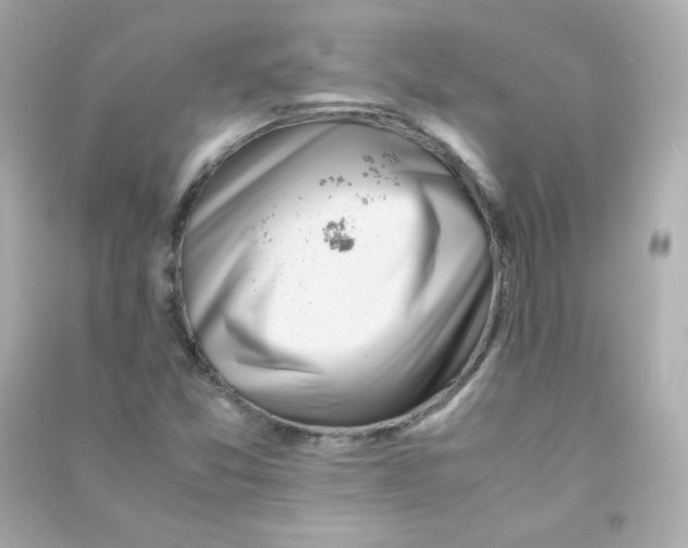 X0000090431357200708101956