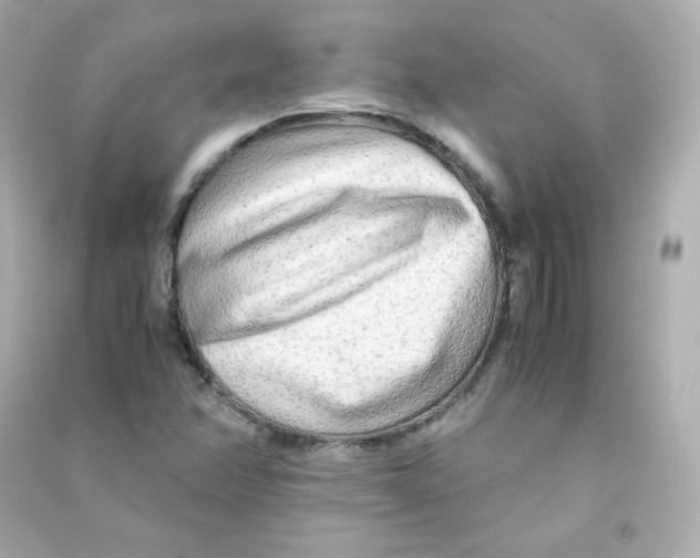 X0000090431358200708101956