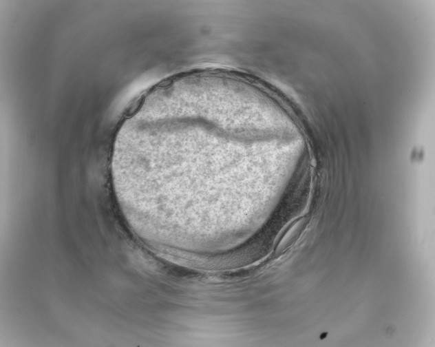 X0000090431359200708101956