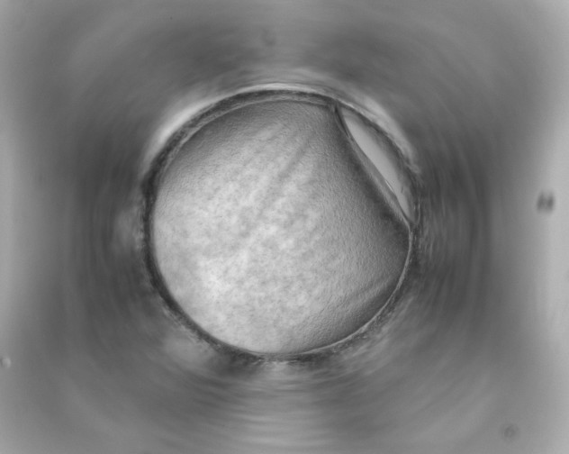 X0000090431360200708101956