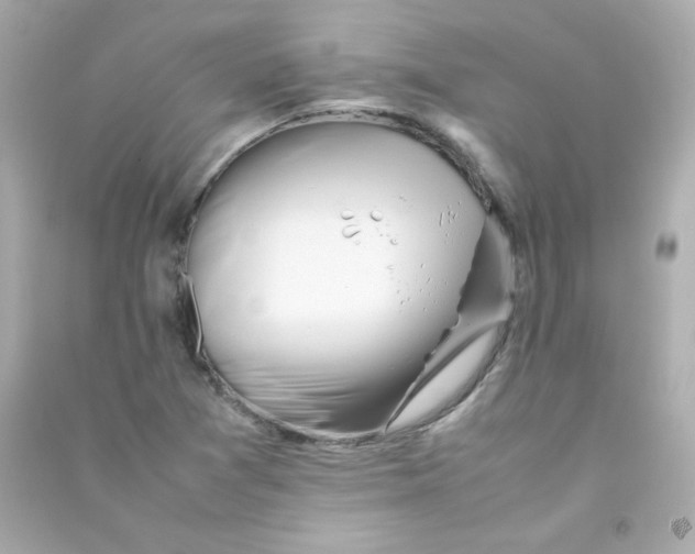 X0000090431361200708101956