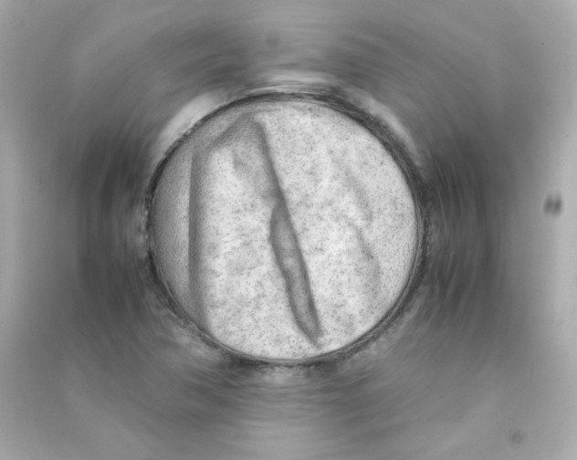 X0000090431362200708101956