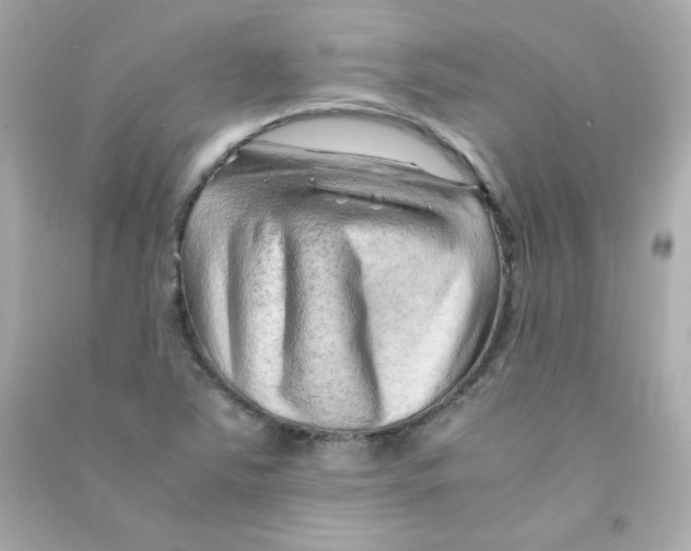 X0000090431363200708101956