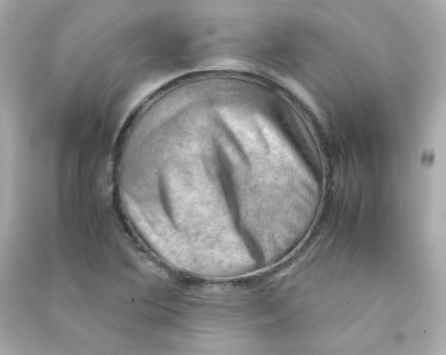X0000090431364200708101956