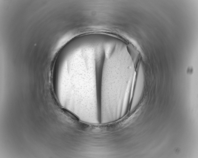 X0000090431365200708101956