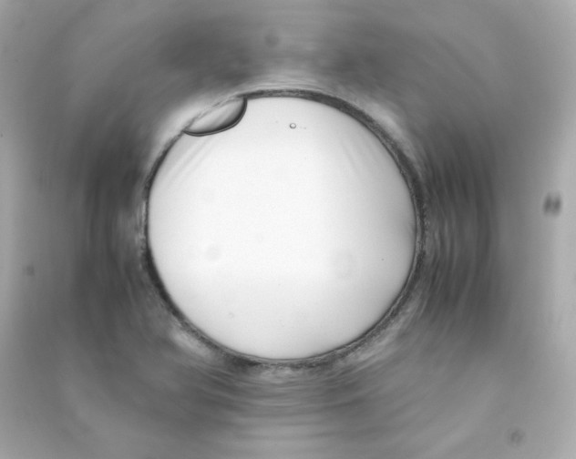 X0000090431366200708101956