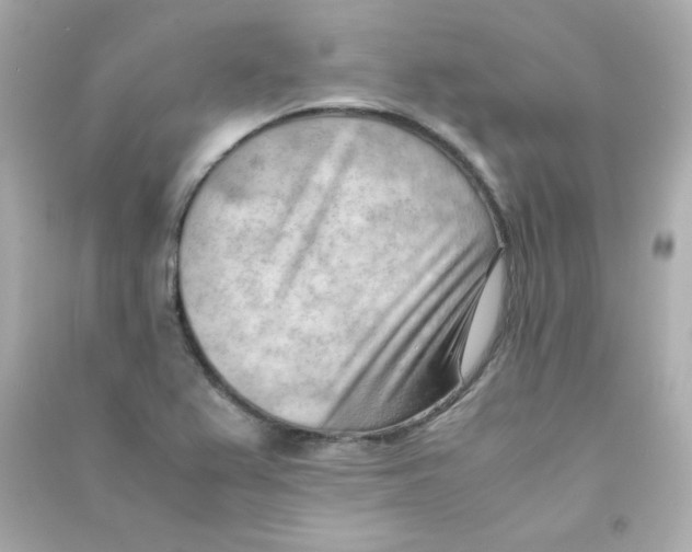 X0000090431367200708101956