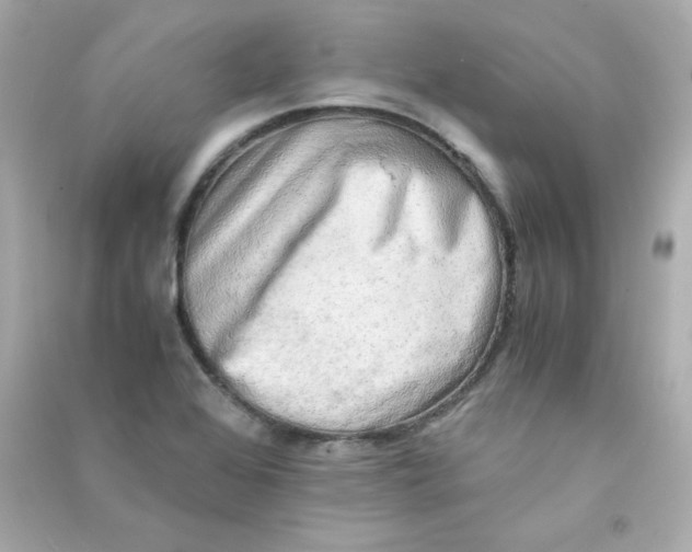 X0000090431368200708101956