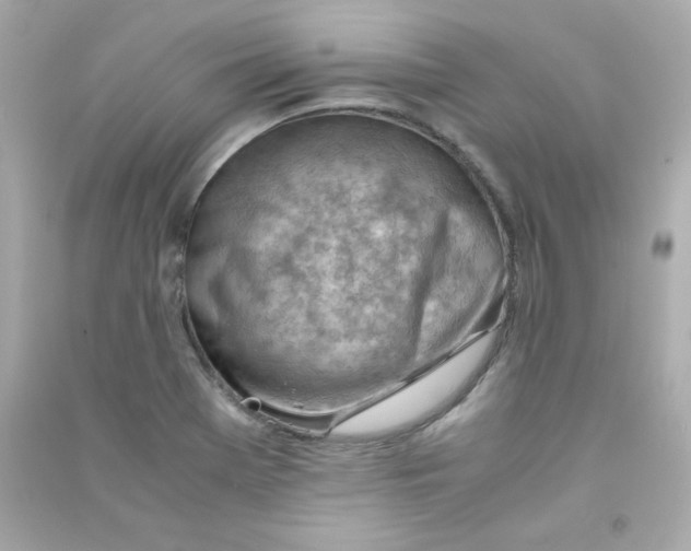 X0000090431369200708101956