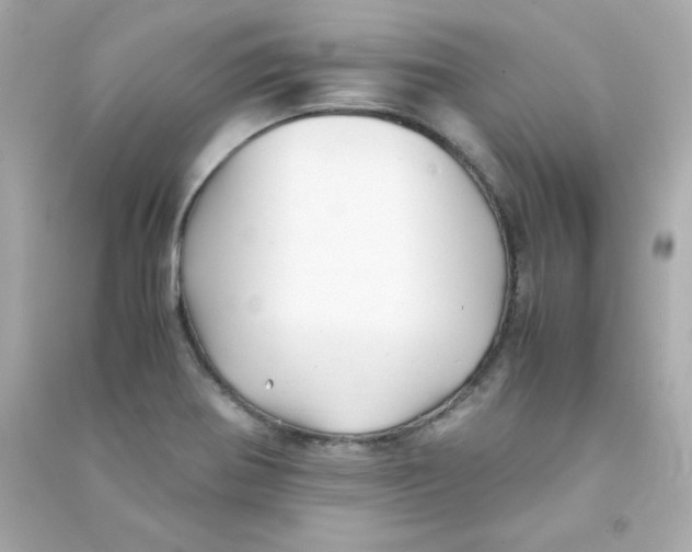 X0000090431370200708101956