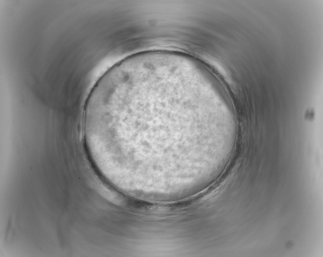 X0000090431371200708101956