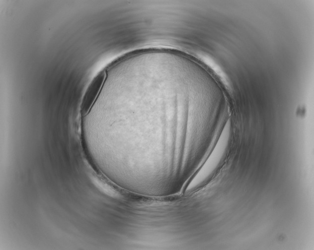 X0000090431372200708101956