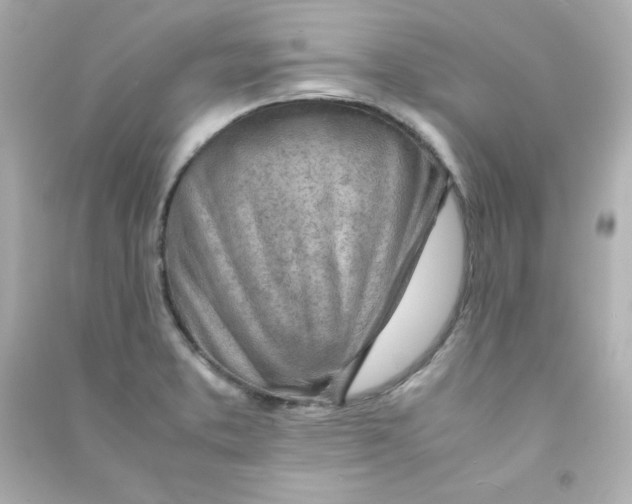 X0000090431373200708101955