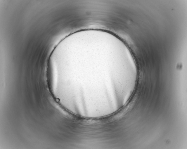 X0000090431374200708101955