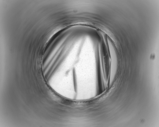 X0000090431377200708101955