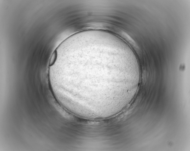 X0000090431378200708101955