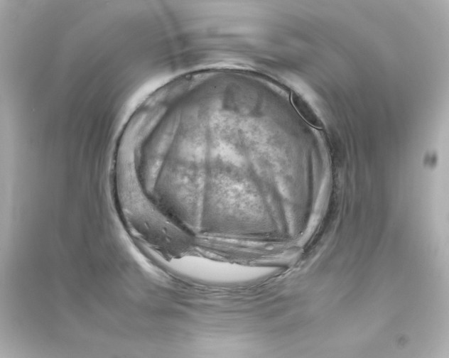 X0000090431379200708101955