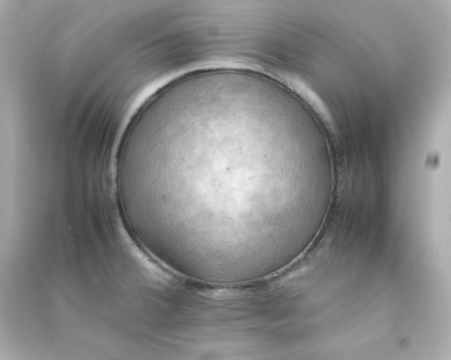 X0000090431380200708101955