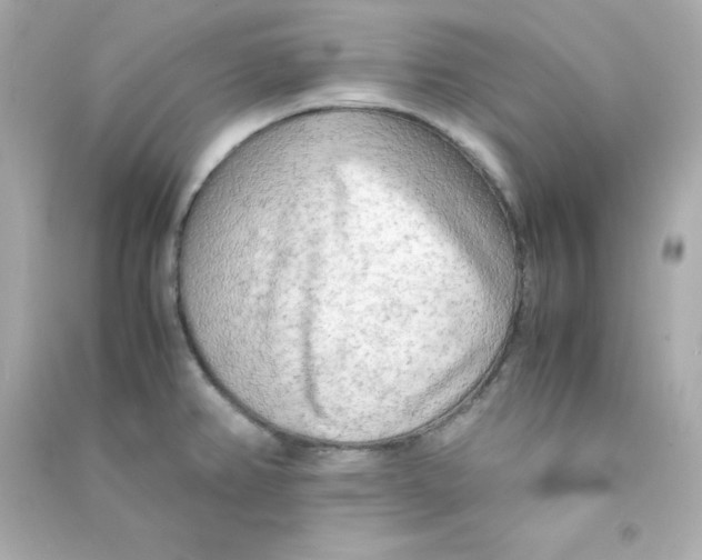 X0000090431382200708101955
