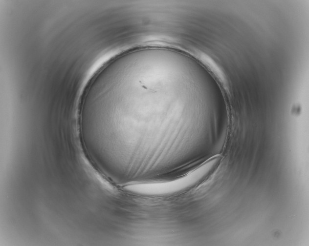 X0000090431384200708101955