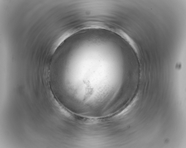 X0000090431385200708101955