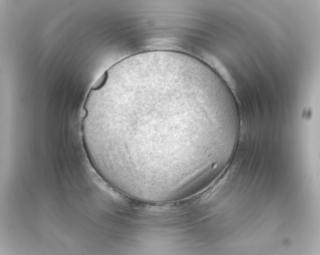 X0000090431386200708101955