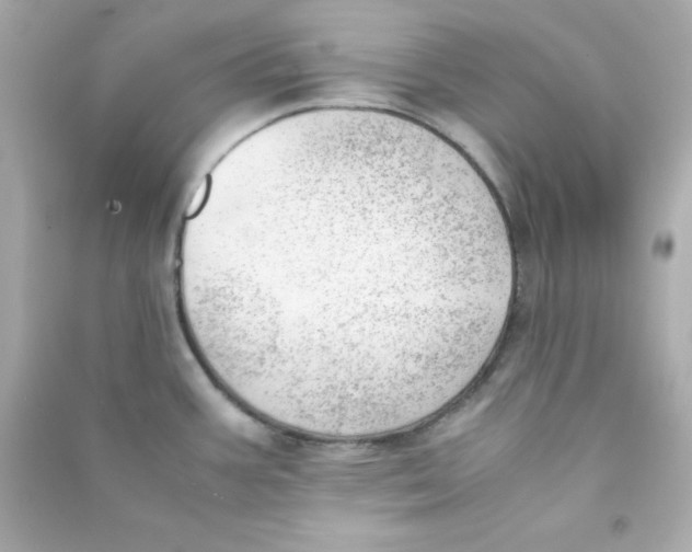 X0000090431387200708101955
