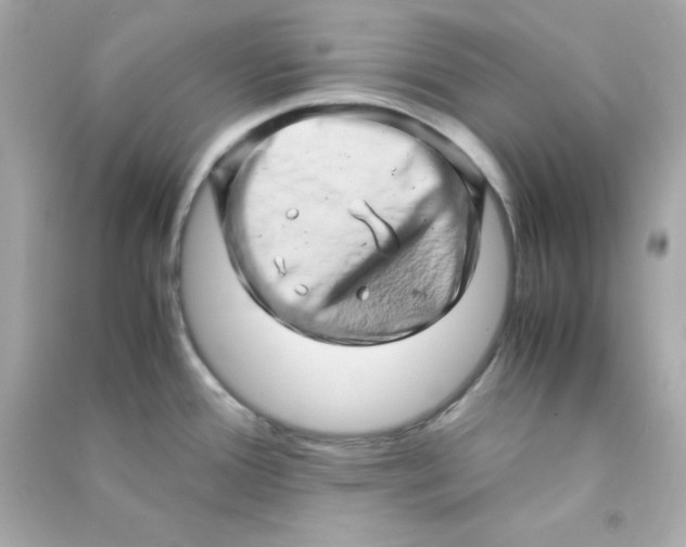 X0000090431388200708101955