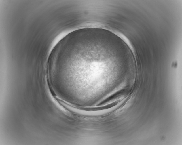 X0000090431389200708101955