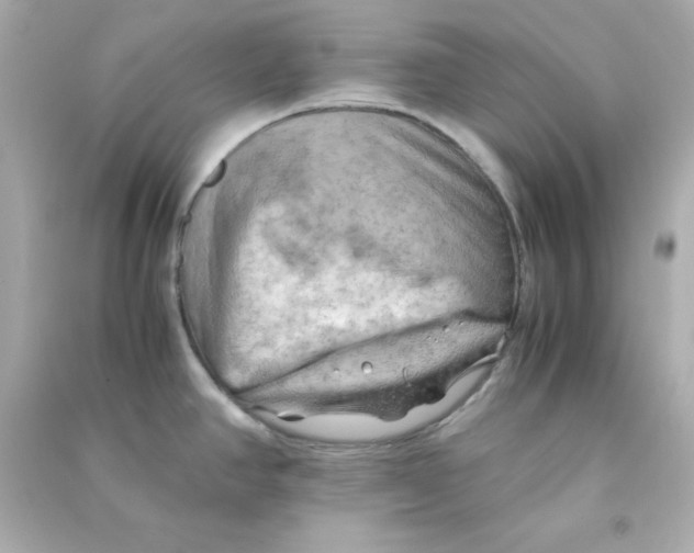 X0000090431390200708101955