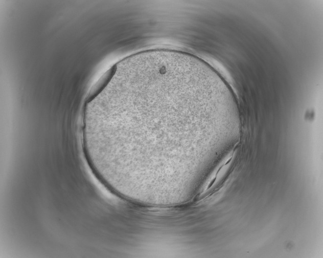 X0000090431391200708101955