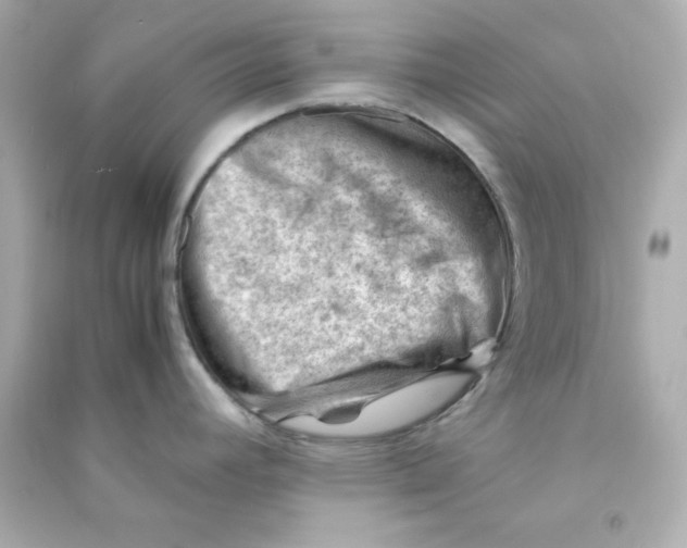 X0000090431392200708101955