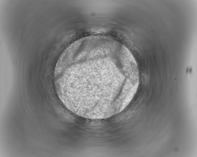 X0000090431393200708101955