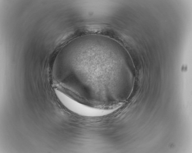 X0000090431394200708101955