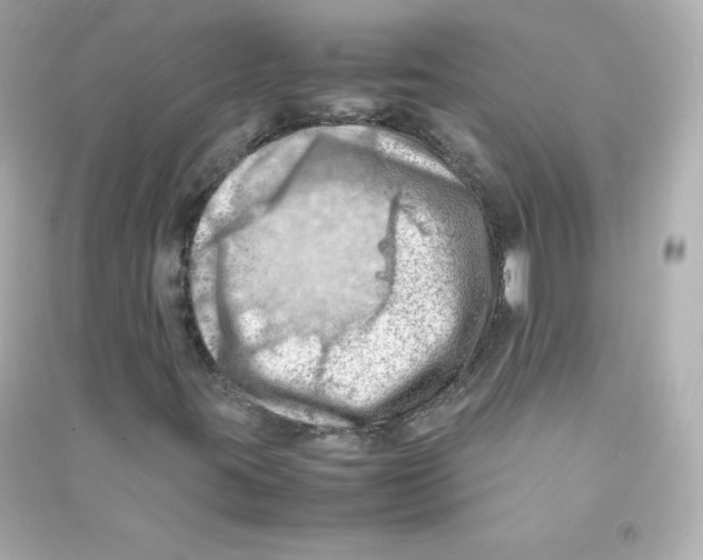 X0000090431395200708101955