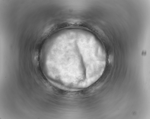 X0000090431396200708101955