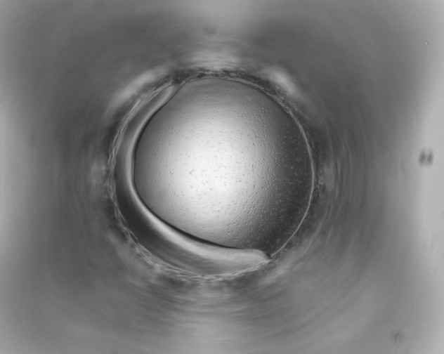 X0000090431398200708101955