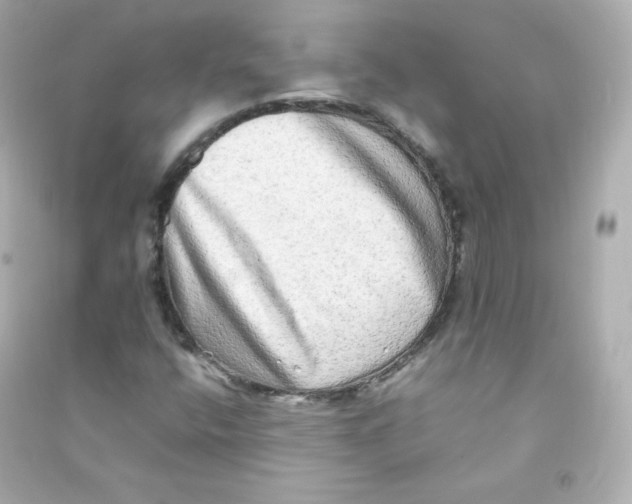 X0000090431400200708101955