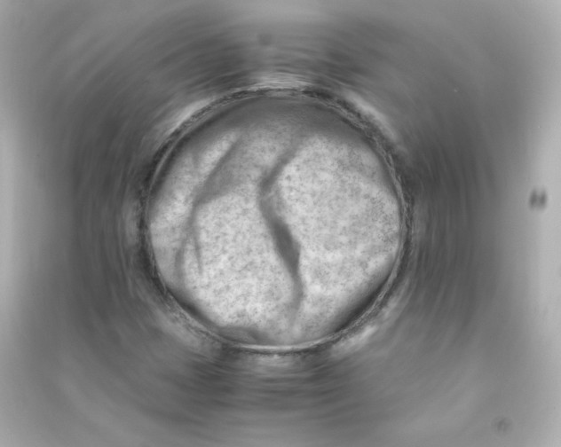 X0000090431401200708101955
