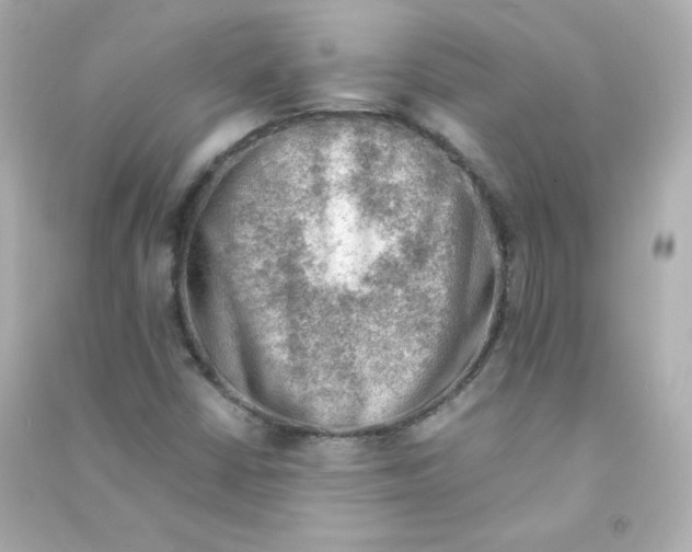 X0000090431402200708101955