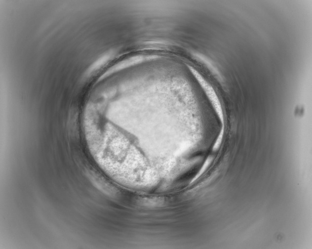 X0000090431403200708101955